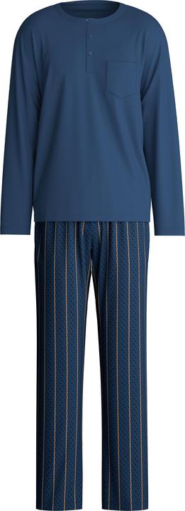 Insignia Blue