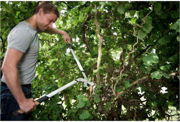 Actual product image Fiskars Pruning shears anvil Quantum, 80 c