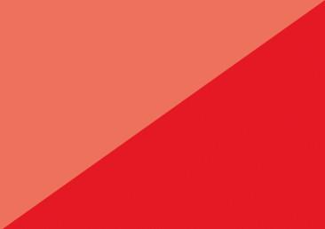 Immagine prodotto Edding Spray permanente (Rosso traffico, 0.20 l)