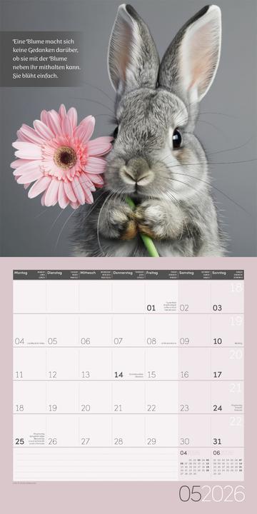 Actual product image Alles wird gut! Kalender 2026 - 30x30 (30 x 30 cm, Hardcover, French, English)