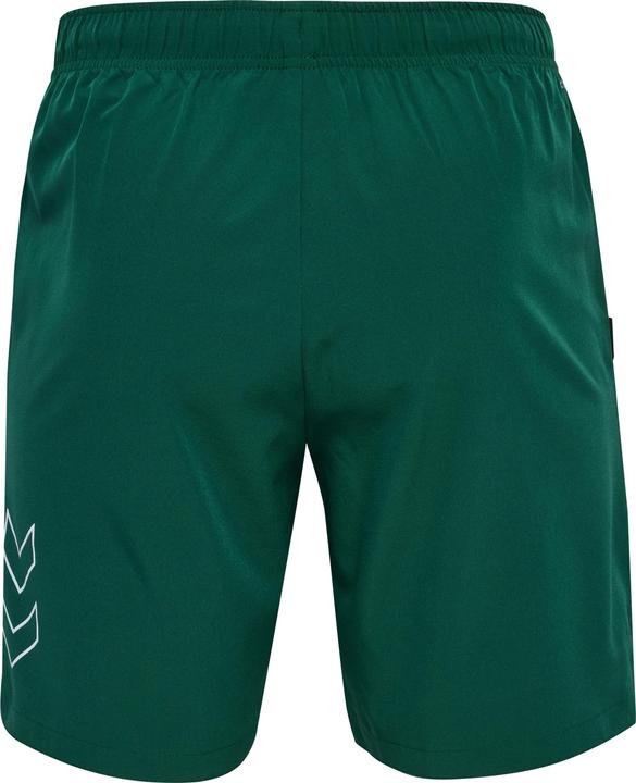 Actual product image hummel hmlCOURT POCKET SHORTS (L)
