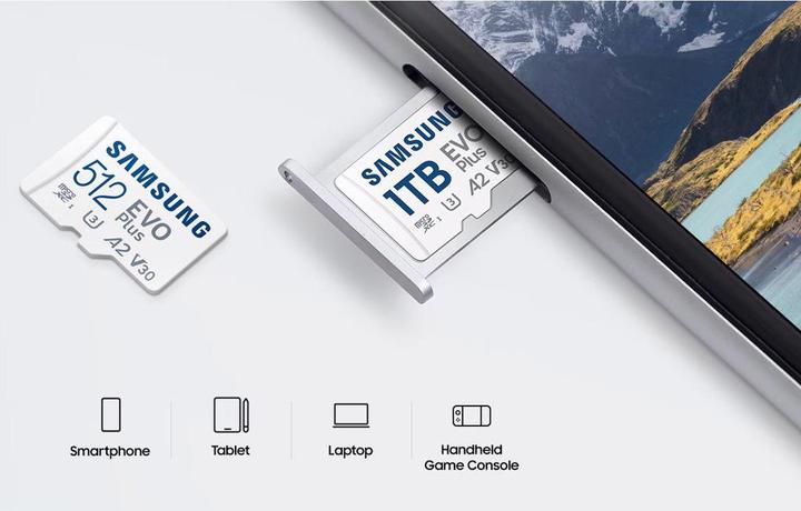 Immagine prodotto Samsung EVO Plus (256 GB, microSDXC, U3, UHS-I)