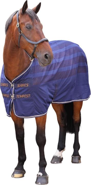 Produktbild Tempest Original Gittergewebe Pferde Cooler Weidedecke (160.02 cm)