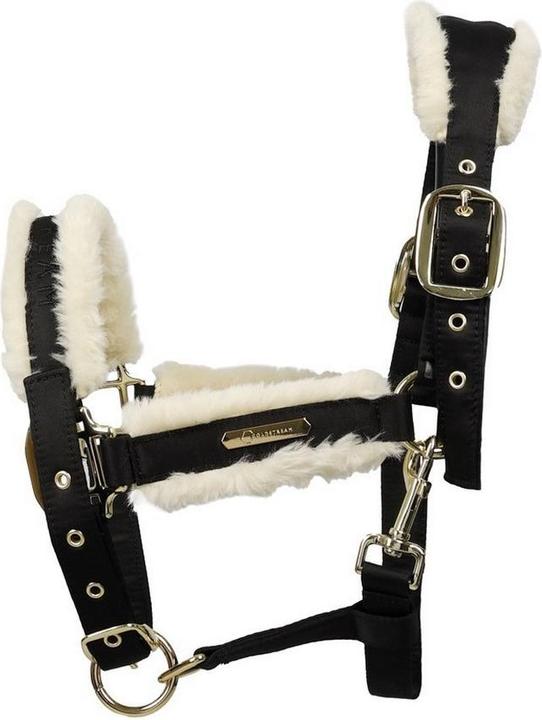Immagine prodotto Coldstream Langlee Luxury Cavezza e Guinzaglio per Cavallo