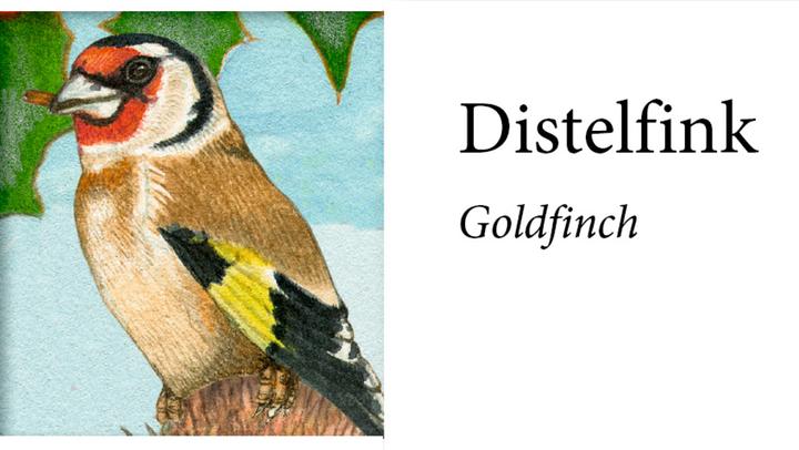 Produktbild Unsere Vögel im Winter