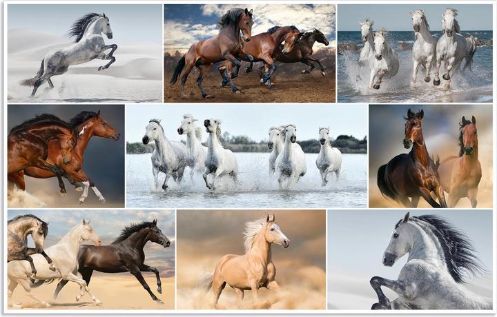 White, Brown, Yellow, Grey, Black