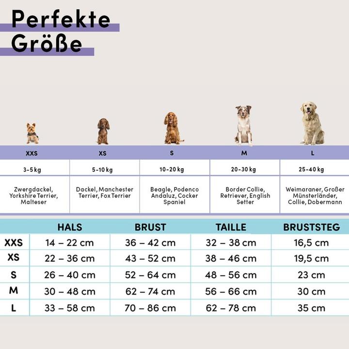 Produktbild Stuch Verstellbares Hundegeschirr gepolstert (XXS, Hund, Allgemein)