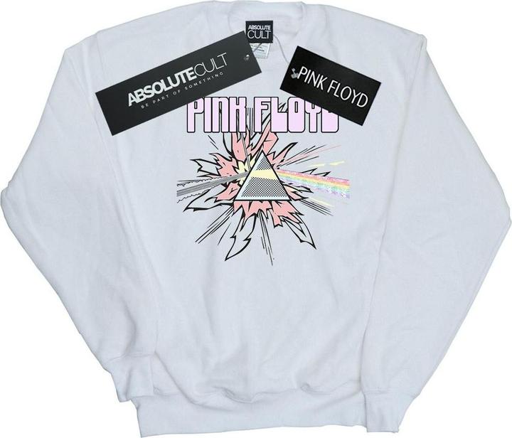 Produktbild Pink Floyd Pastel Triangle Sweatshirt (4XL)