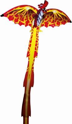 Actual product image Günther Flugspiele Dragon Dragon 3D