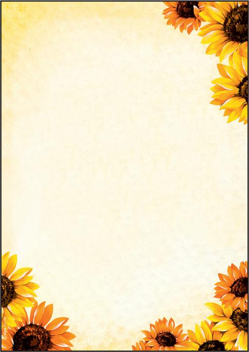Sigel Motiv-Papier (90 g/m², 50 x, A4)