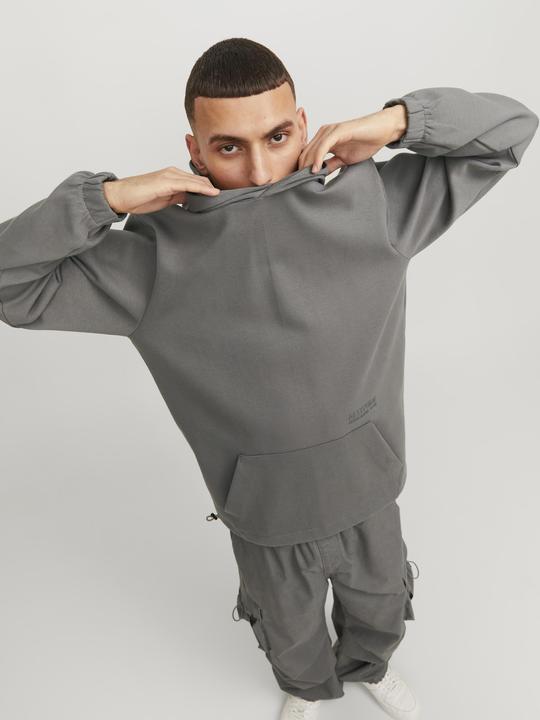Image du produit Jack & Jones Jcoaltitude Sweat Hood Sn (S)