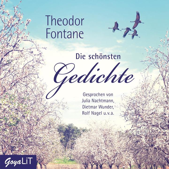 Produktbild Jumbo Theodor Fontane.Die Schönsten Gedichte