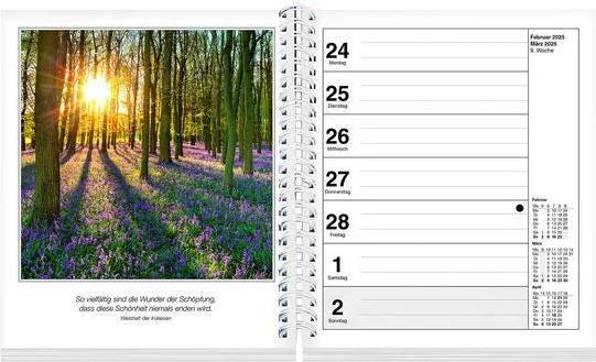 Immagine prodotto Stimmungen Fotokalender 2025 (17 x 20 cm, Tedesco)