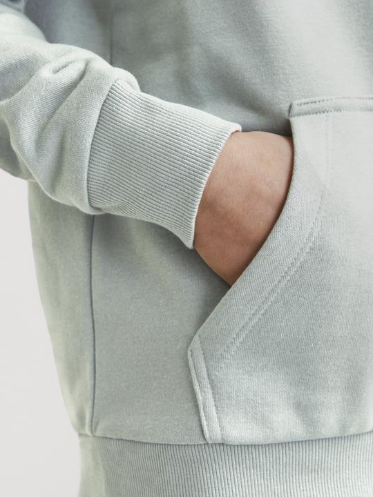 Image du produit Jack & Jones Jjecaleb Varsity Sweat Hood Noos Jnr (152)