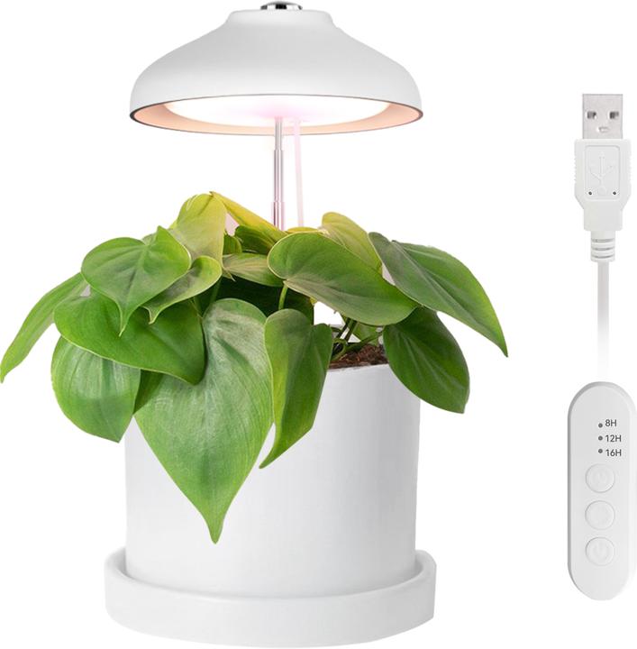 Produktbild Enne Interior Bijou Grow Plant Light (240 lm)