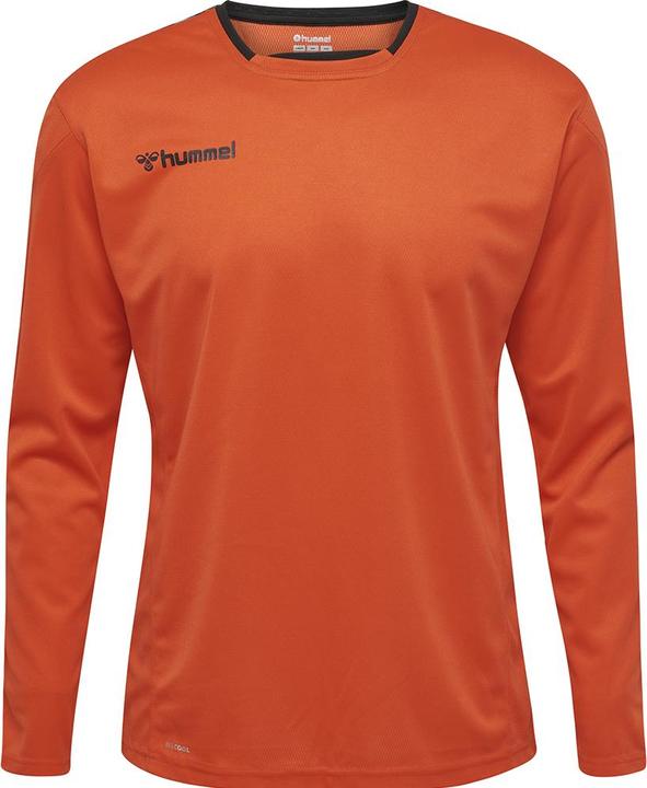 Image du produit hummel Authentic Poly Jersey L/S (S)