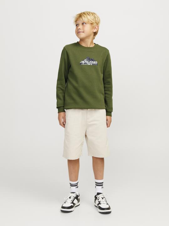 Immagine prodotto Jack & Jones Jcomountain Logo Sweat Crew Neck Sn Mni (122)