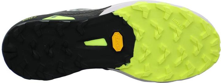 Image du produit Dynafit Alpine DNA 2 Chaussures de course à pied unisexe (45)