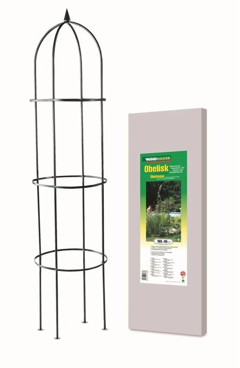Produktbild Windhager Rosenbogen Obelisk 193x45cm (194 cm, 45 cm)