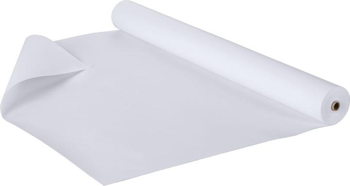 Franken Flipchartpapier-Rolle, blanko, 600 mm x 35 m weiss, chlorfrei gebleicht, 80 g/qm, Universallochung