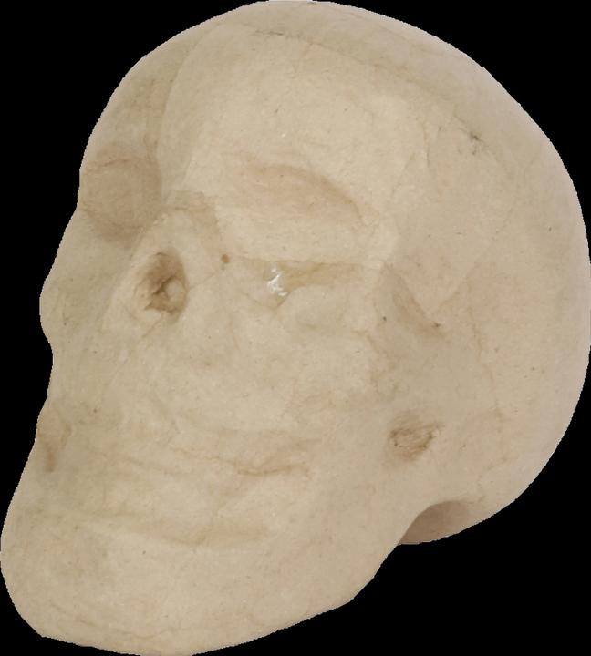 Actual product image Décopatch Cardboard skull 15,5x10,5x12cm