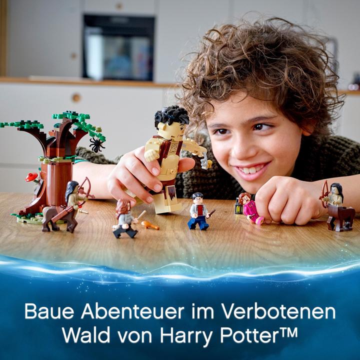 Produktbild LEGO Der Verbotene Wald: Begegnung mit Umbridge (75967, LEGO Harry Potter)