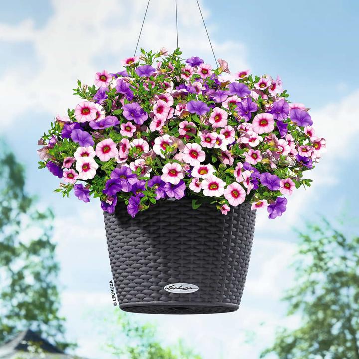 Actual product image Lechuza Nido Cottage (27 cm)