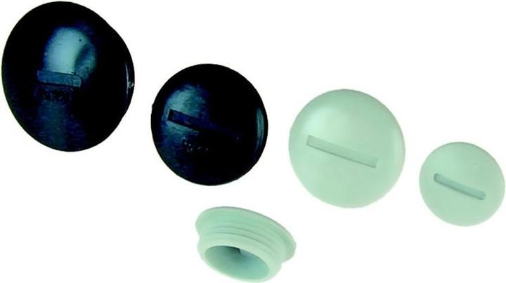 Actual product image Plica Dummy plug