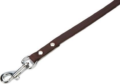 Productafbeelding Beeztees BZ LEREN RIEM BRUIN 100X10 (100, Hond, Algemeen)