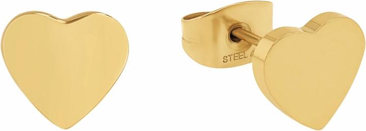Amor Ohrschmuck für Damen, Edelstahl | Herz (Edelstahl)