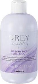 Image du produit Inebrya Shampooing neutralisant les tons jaunes des cheveux gris et platine Gray By Day (shampooing) - (300 ml, Shampoing liquide)