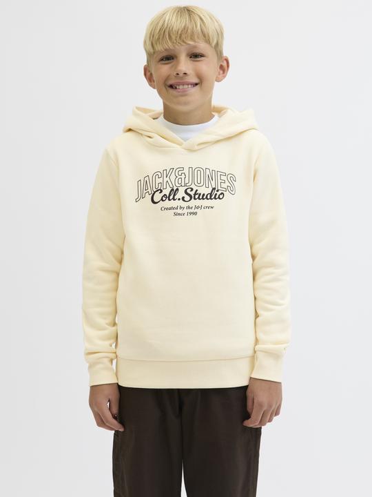 Actual product image Jack & Jones Kapuzenpullover Junior Kapuzenpullover (164)