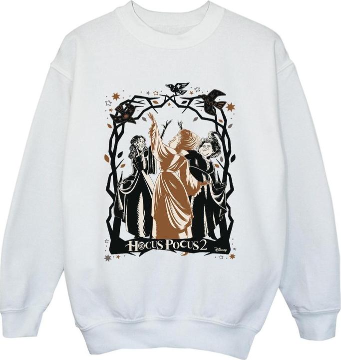 Disney Hocus Pocus Birds Sweatshirt Jungen