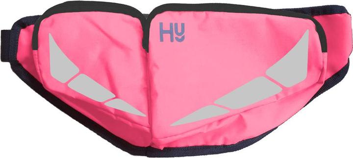 HyVIZ Bauchtasche
