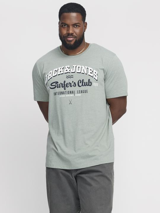 Actual product image Jack & Jones Jjelogo Tee Ss O-Neck 2 Col Aw24 S Pls (4XL)