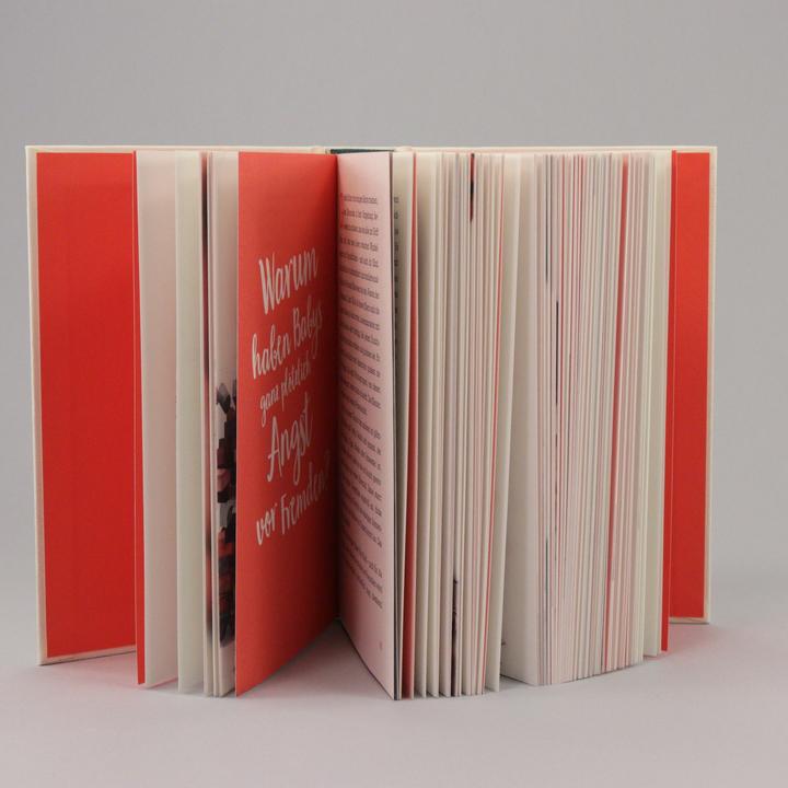 Produktbild Das Kinderverstehbuch (Deutsch, Sandra Winkler, 2020)