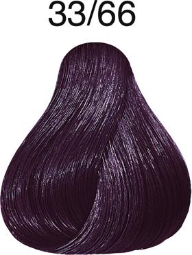 33/66 brun foncé brun intense intense violet-intensif