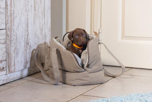 Produktbild Designed by Lotte Tragetasche (Hund, Komplett zu öffnen)