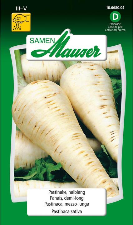 Actual product image Samen Mauser Parsnip, half-long (Vegetable seeds)