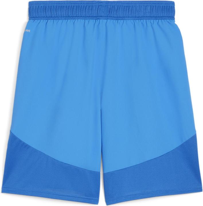 Produktbild Puma teamFINAL Shorts (3XL)