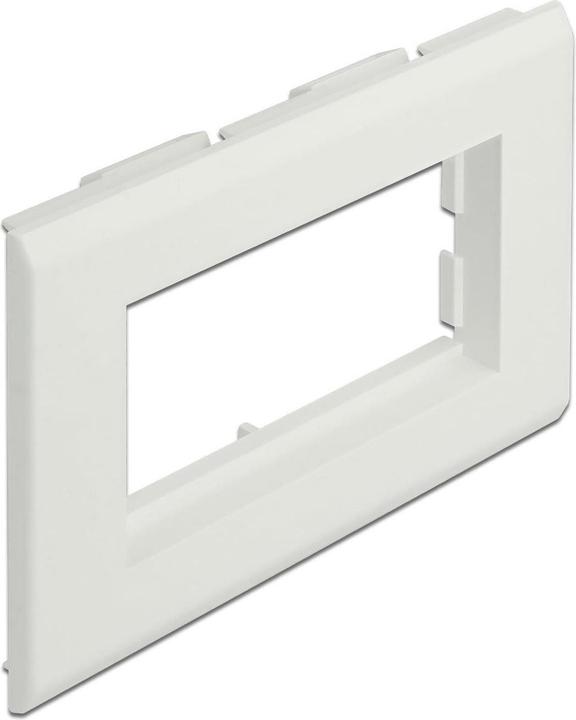 Delock Easy 45 Modulträger für Geräteeinbaukanal 130 x 80 mm (13 cm)