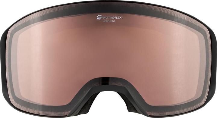 Image du produit ALPINA SPORTS Arris Q