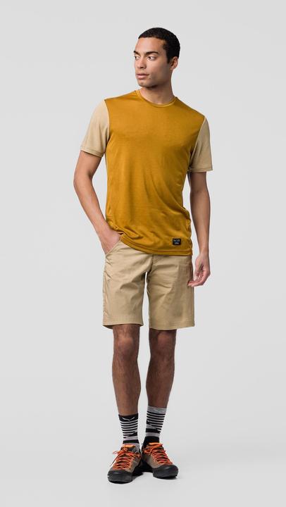 Actual product image Salewa Fanes Light Shorts (L)