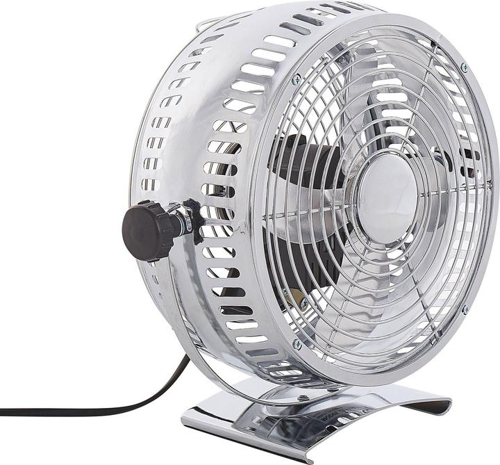 Fan