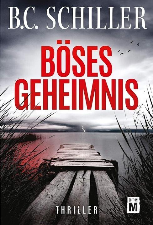 Actual product image Amazon Böses Geheimnis (B. C. Schiller, 2019)