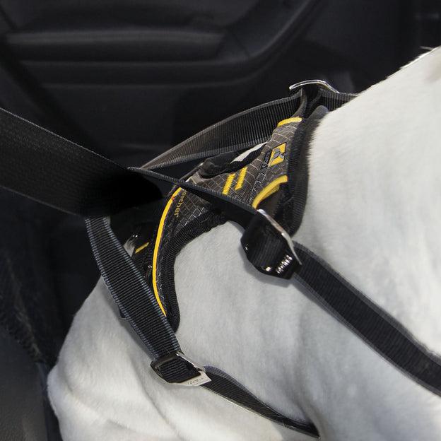 Produktbild Kurgo Impact Hunde-Autogeschirr (10, 11, Hund)