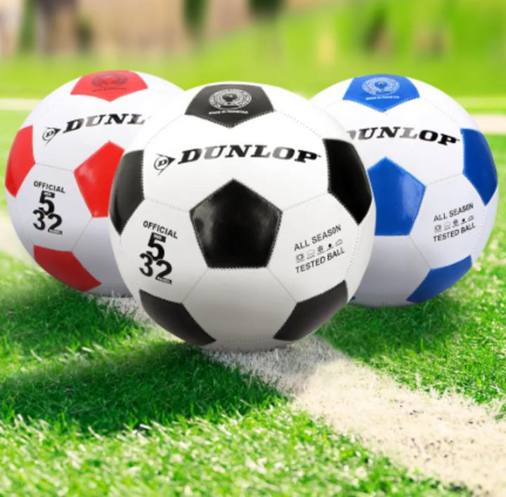 Produktbild Dunlop Soccer ball Size 5 PVC (5)