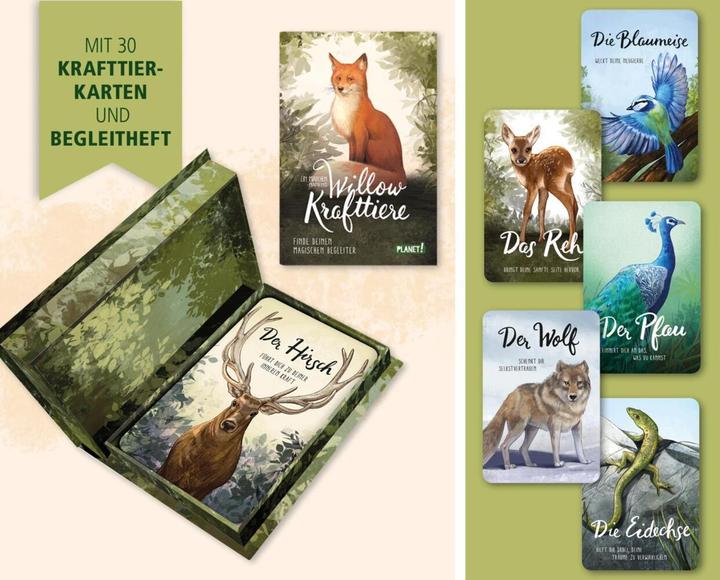 Produktbild Planet Ein Mädchen namens Willow: Krafttiere (Deutsch, Simona Ceccarelli, Sabine Bohlmann, 2023)