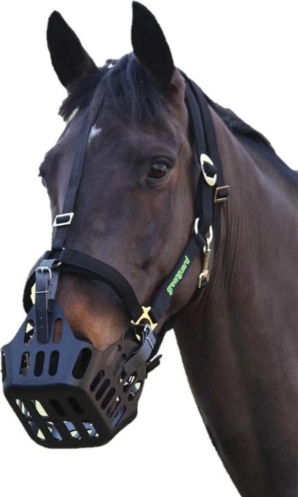 Actual product image Green Guard Greenguard Horse Halter