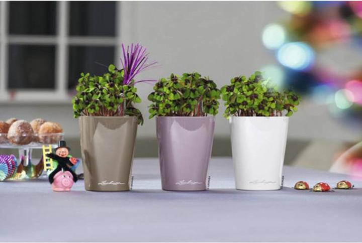 Actual product image Lechuza Mini Deltini (10 cm)